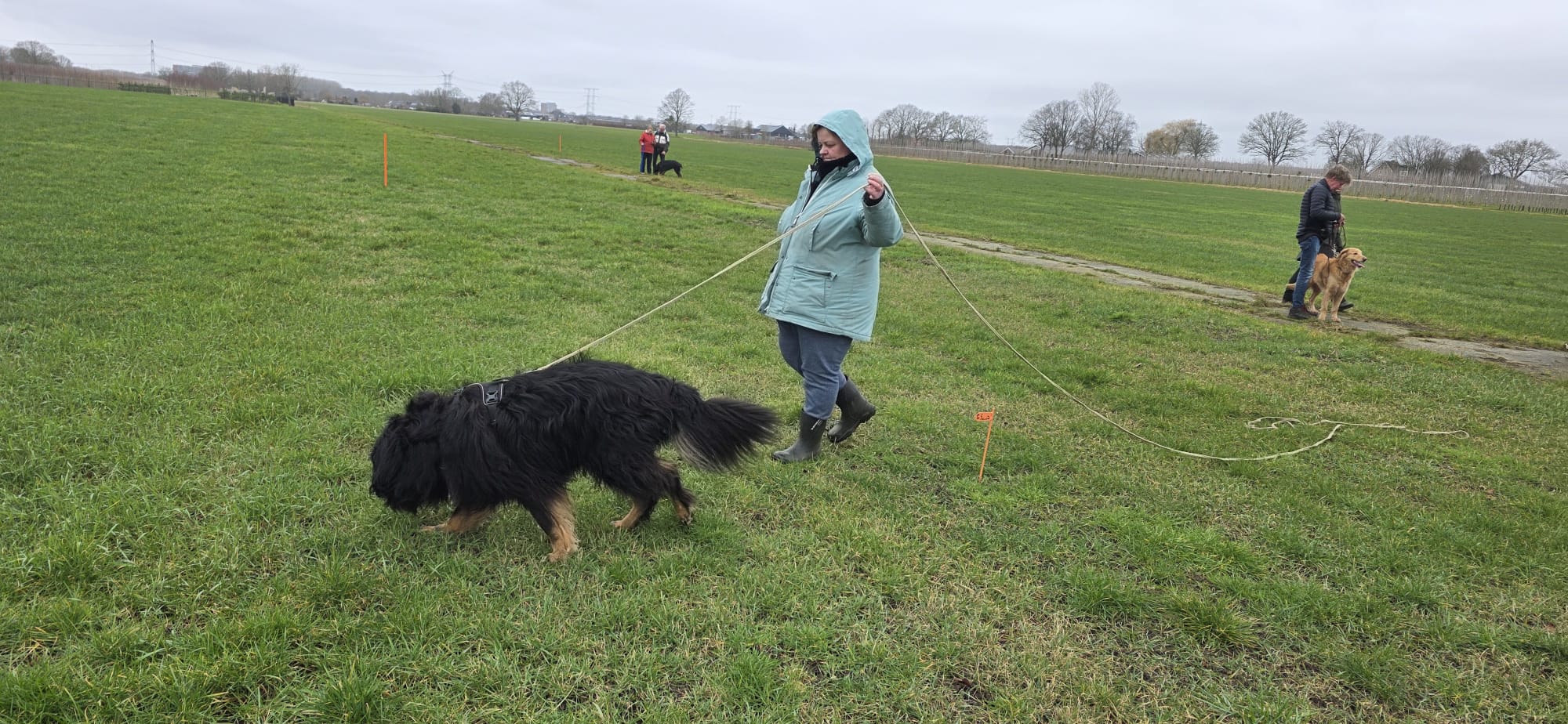 0212fce0 a6dd 4746 ba27 2a75b6ed8e9f