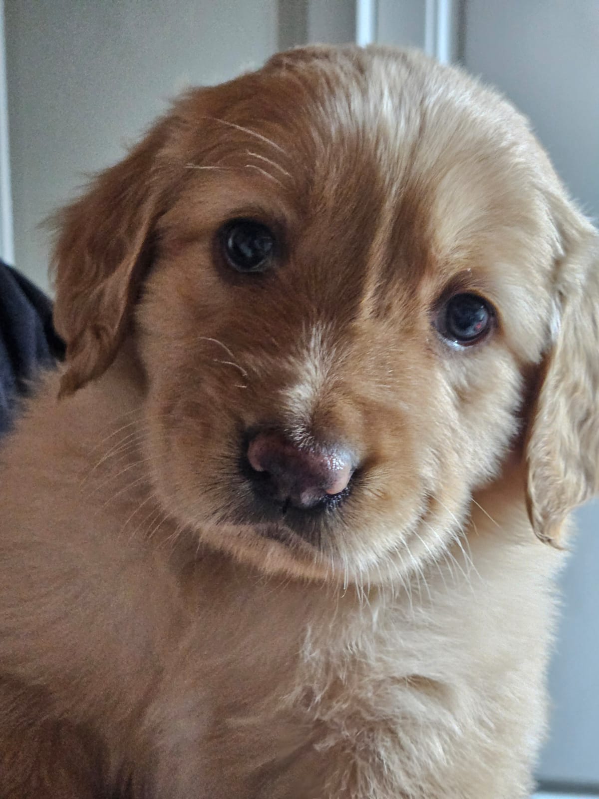 0460ca14 20cb 4473 b160 10b8316442d7