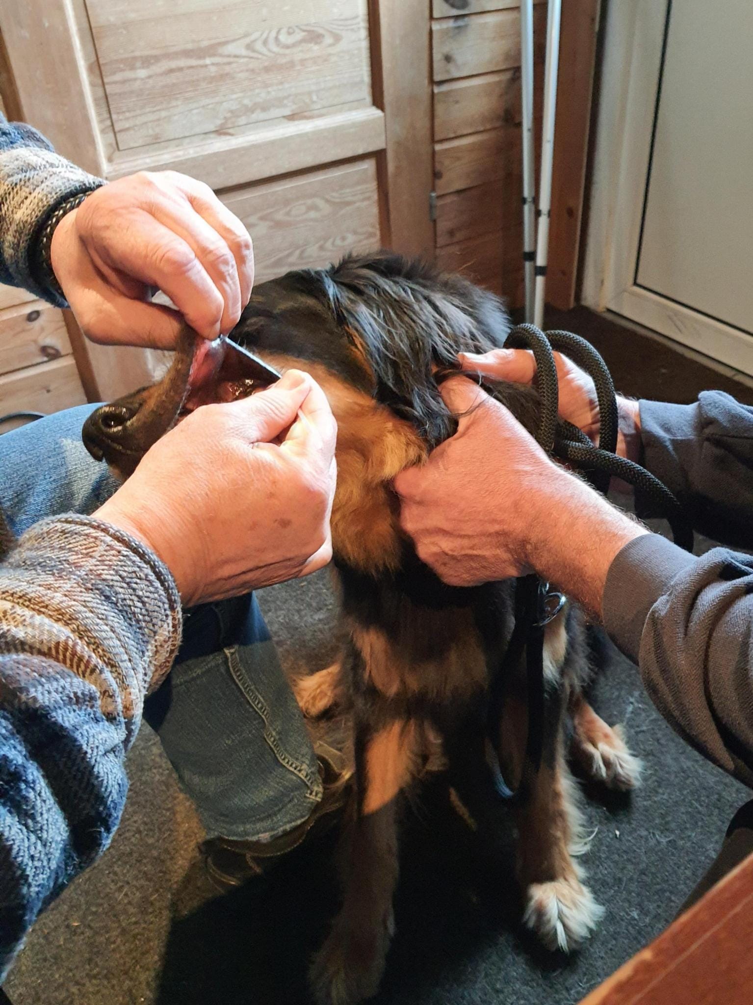 289e1285 e5a6 44ac 82be d688dd13f0d5