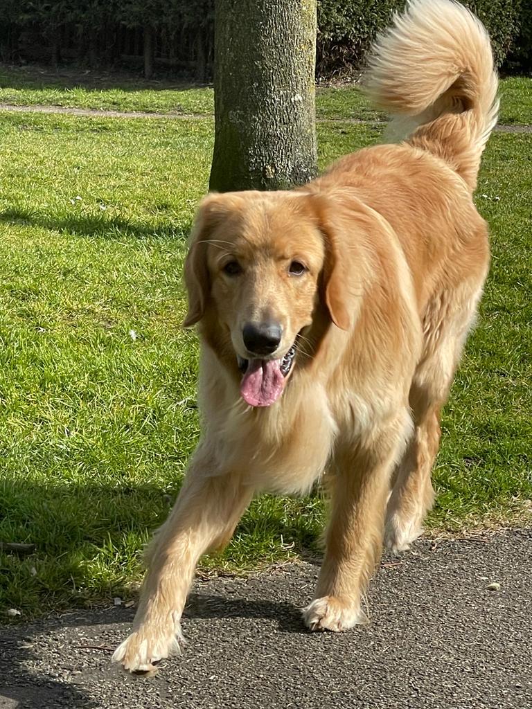 56549528 1f20 473e 8d87 42a97fe88f92