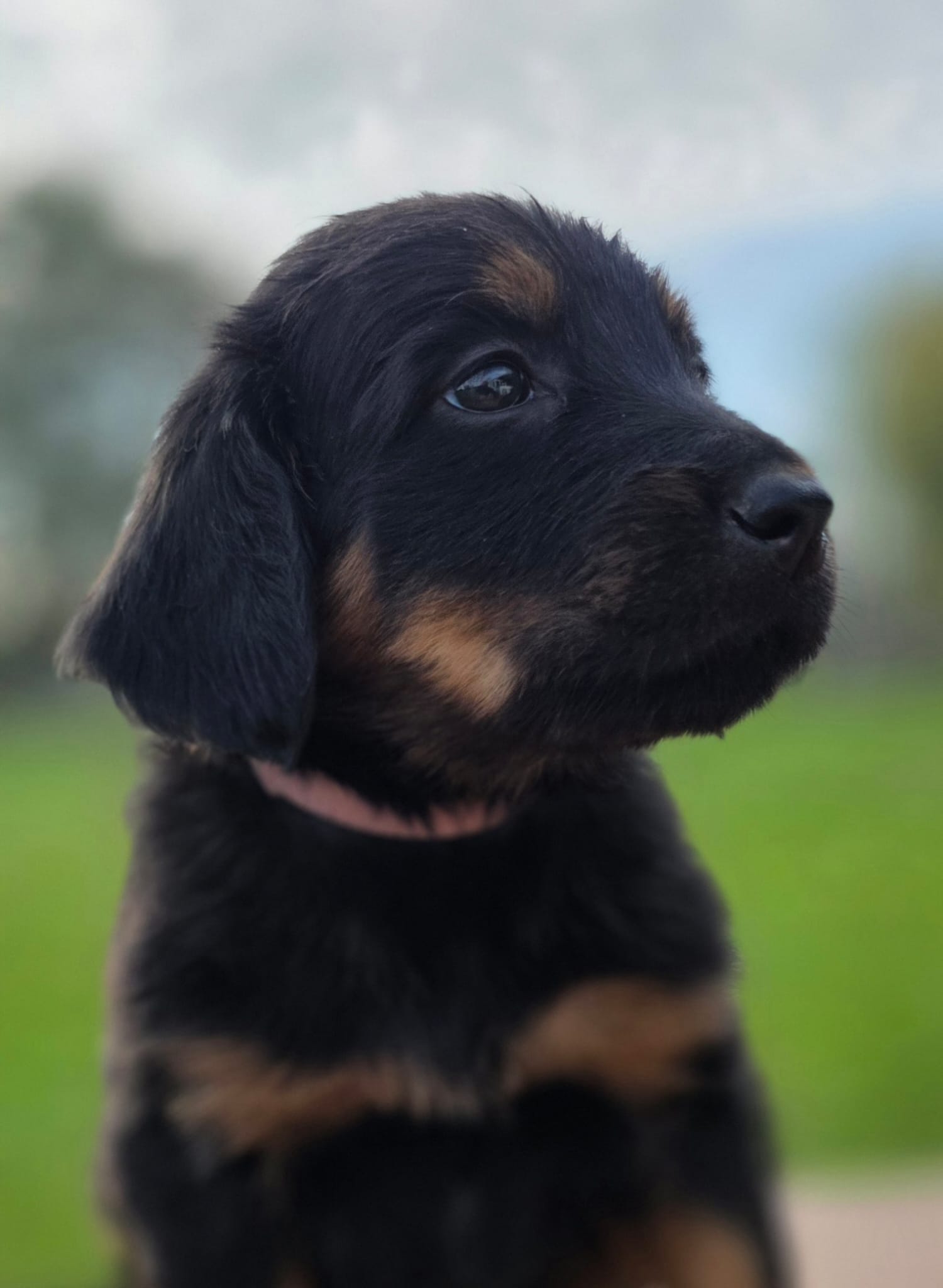 639d95e3 29a6 4fda b21c 65a51d10d6e3