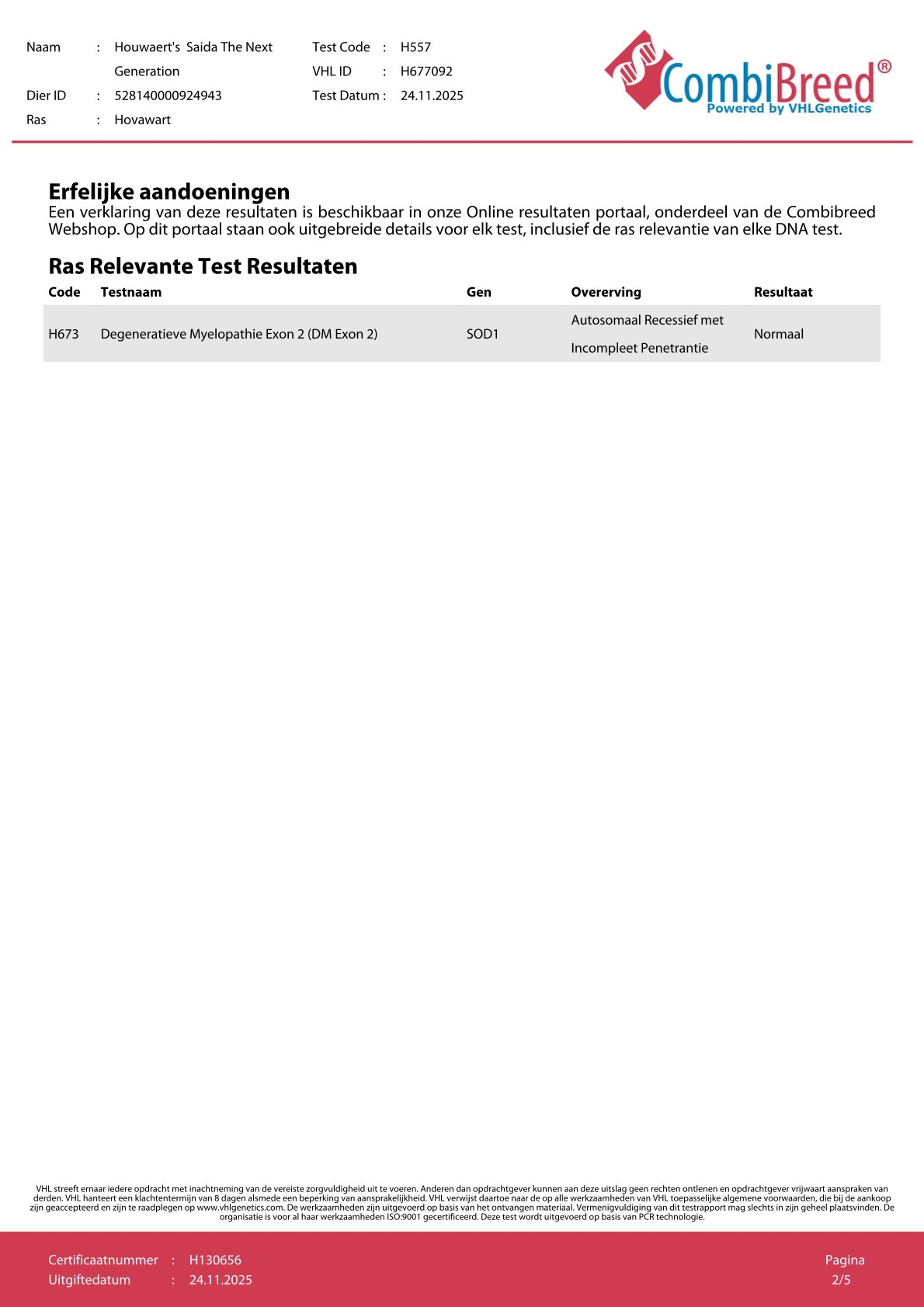 Houwaerts Saida TNG 600336 1 DM