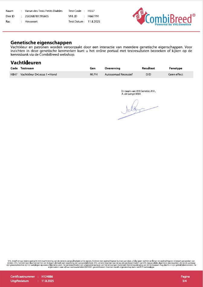 20250811 Varun des Trois Petits Diables D Locus certificaat