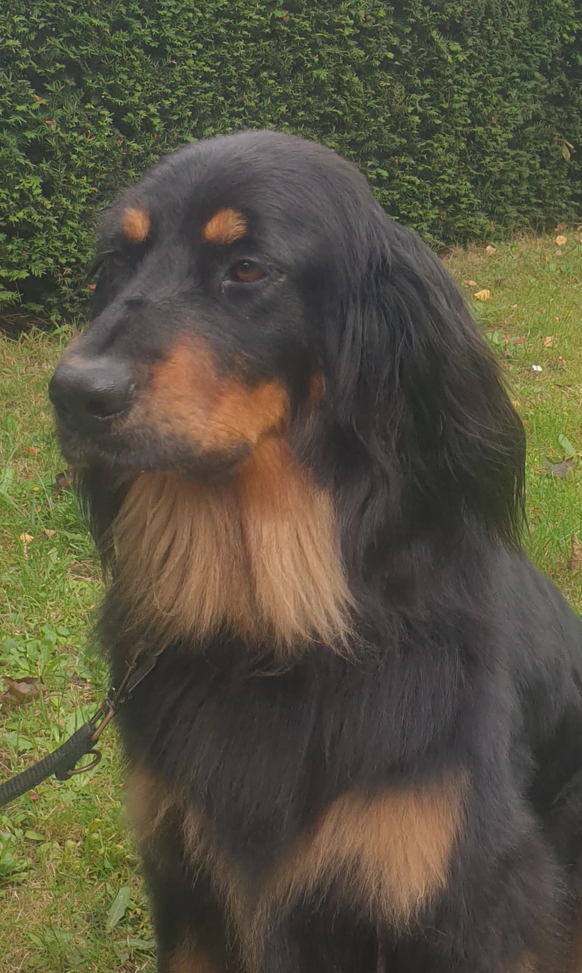 Oxanna
