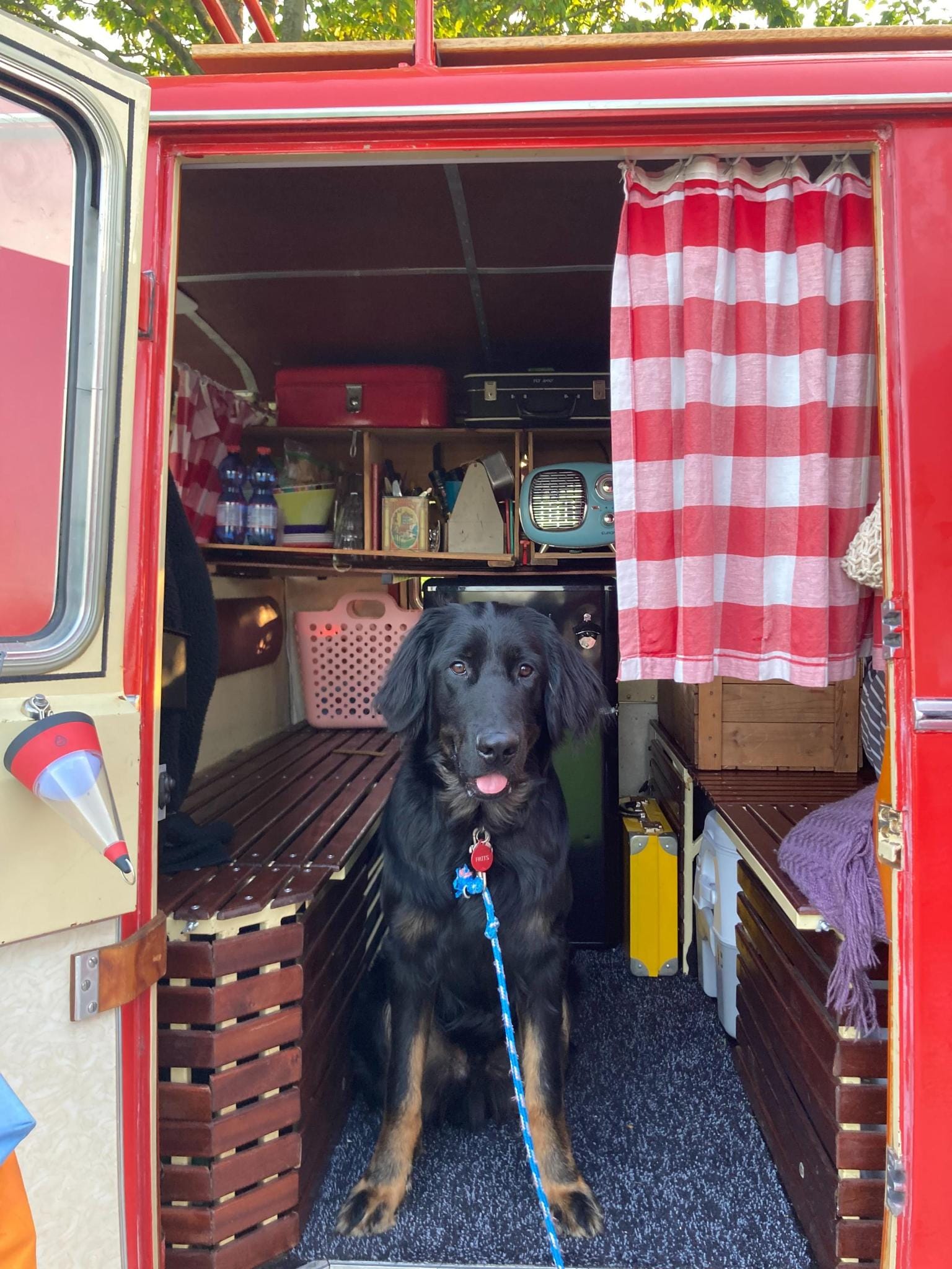 a313b4f3 e04e 428d b3fd 5a5f22929c3a