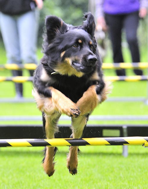 agility
