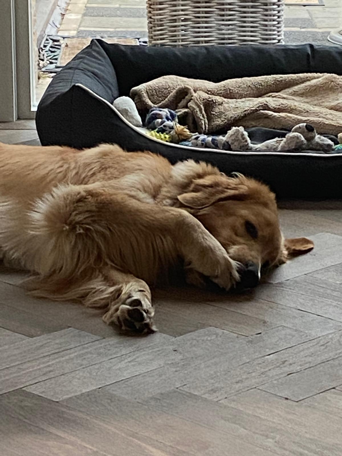 b249339c 9fe8 4b1c a32a 7a9619a15ced