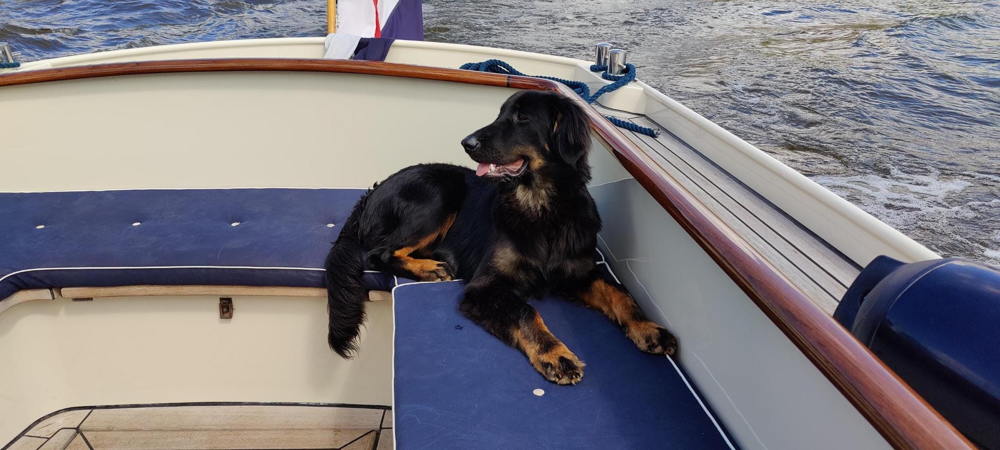 bb7b0c71 813c 48b1 a54c 4d229e3230de