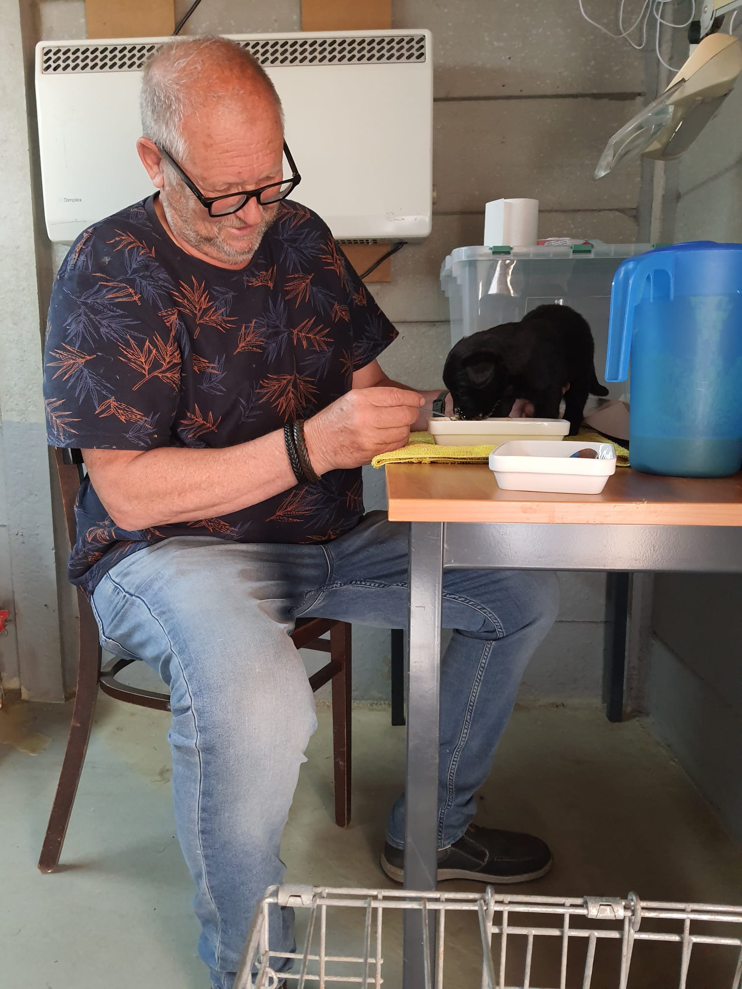 c356768b 7056 45b8 bd4a 4076aec49e96