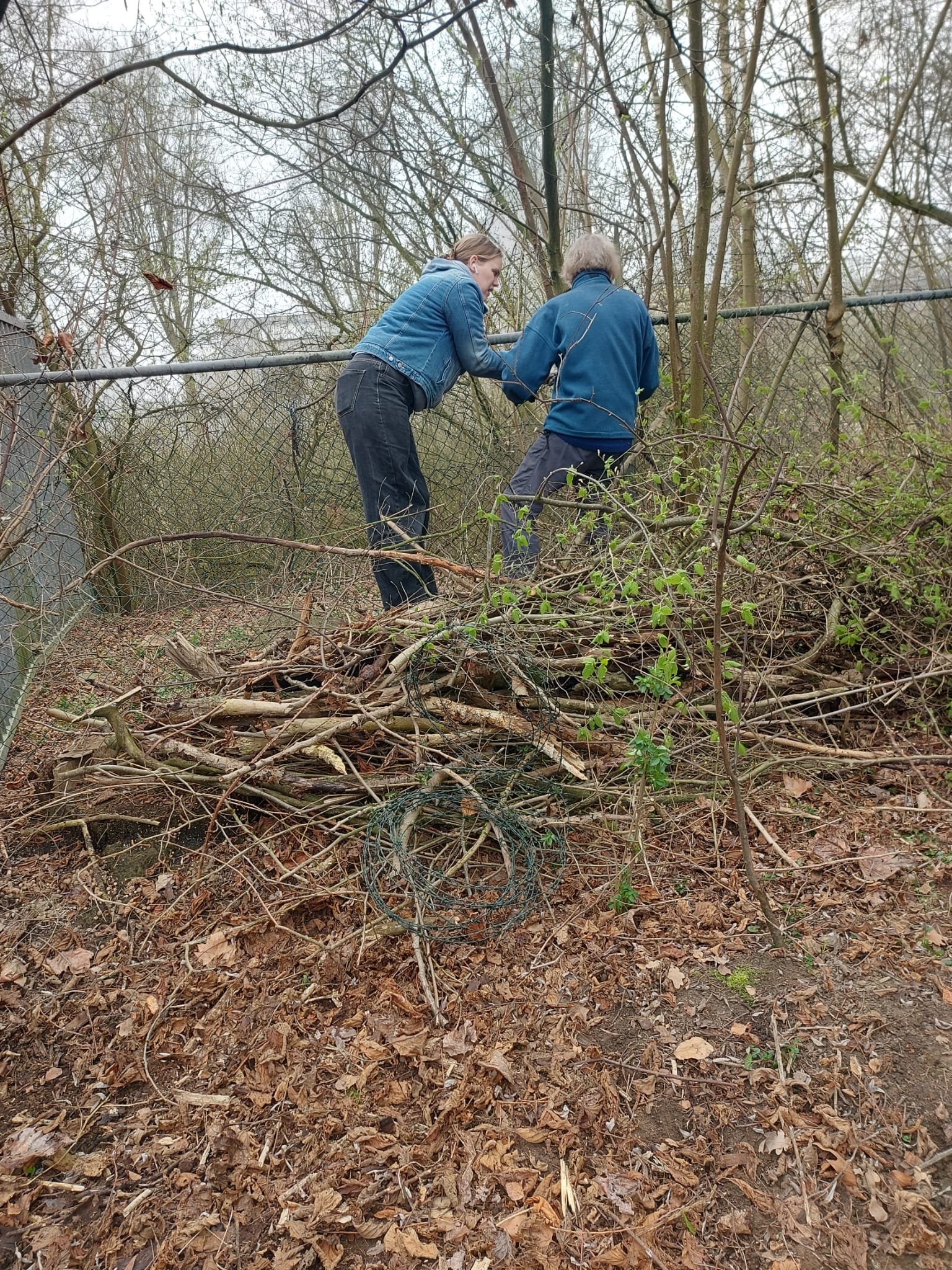 c74536c0 3366 4865 a41a 5afe3652a739