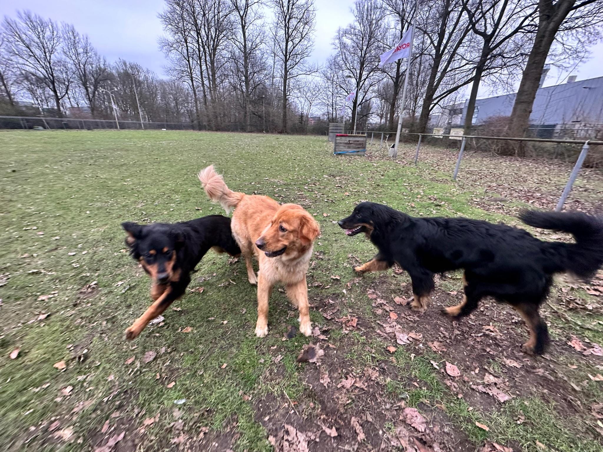 d7124a83 ee51 4541 ac87 0f64e4c6a855