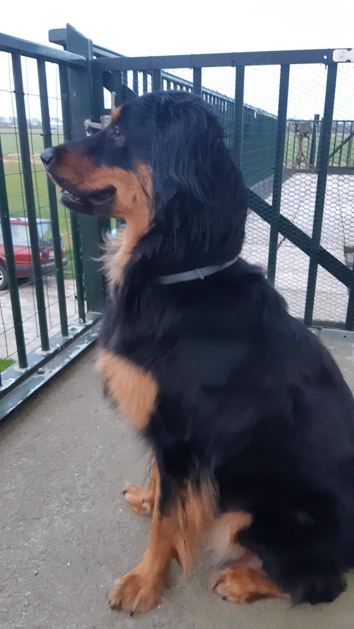 e9eeab11 5540 4230 aef3 59e44dcfbd55