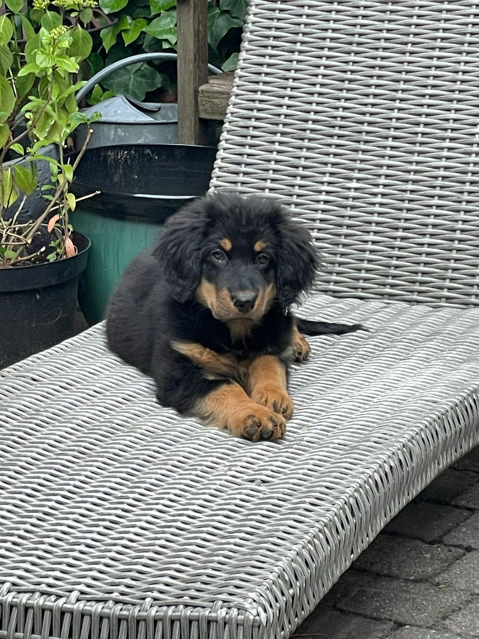 f2edeccd 5179 488f a08b 58e4fd9d7c11