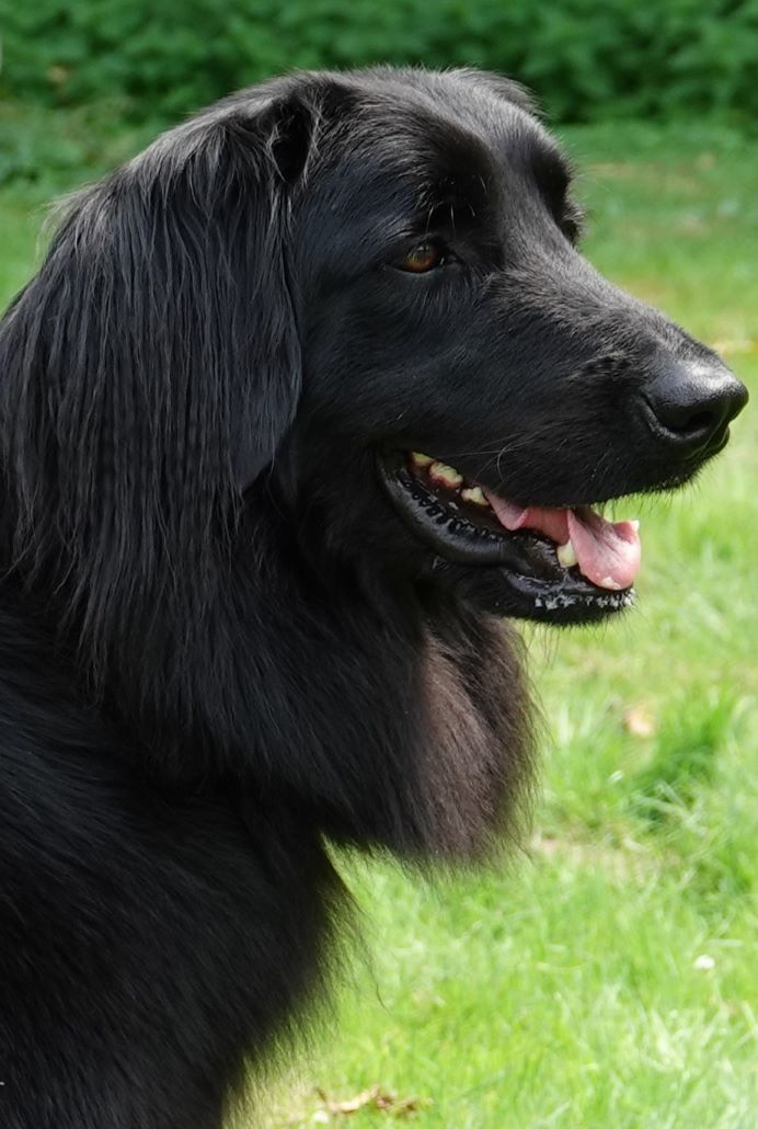 tallis DSC04512